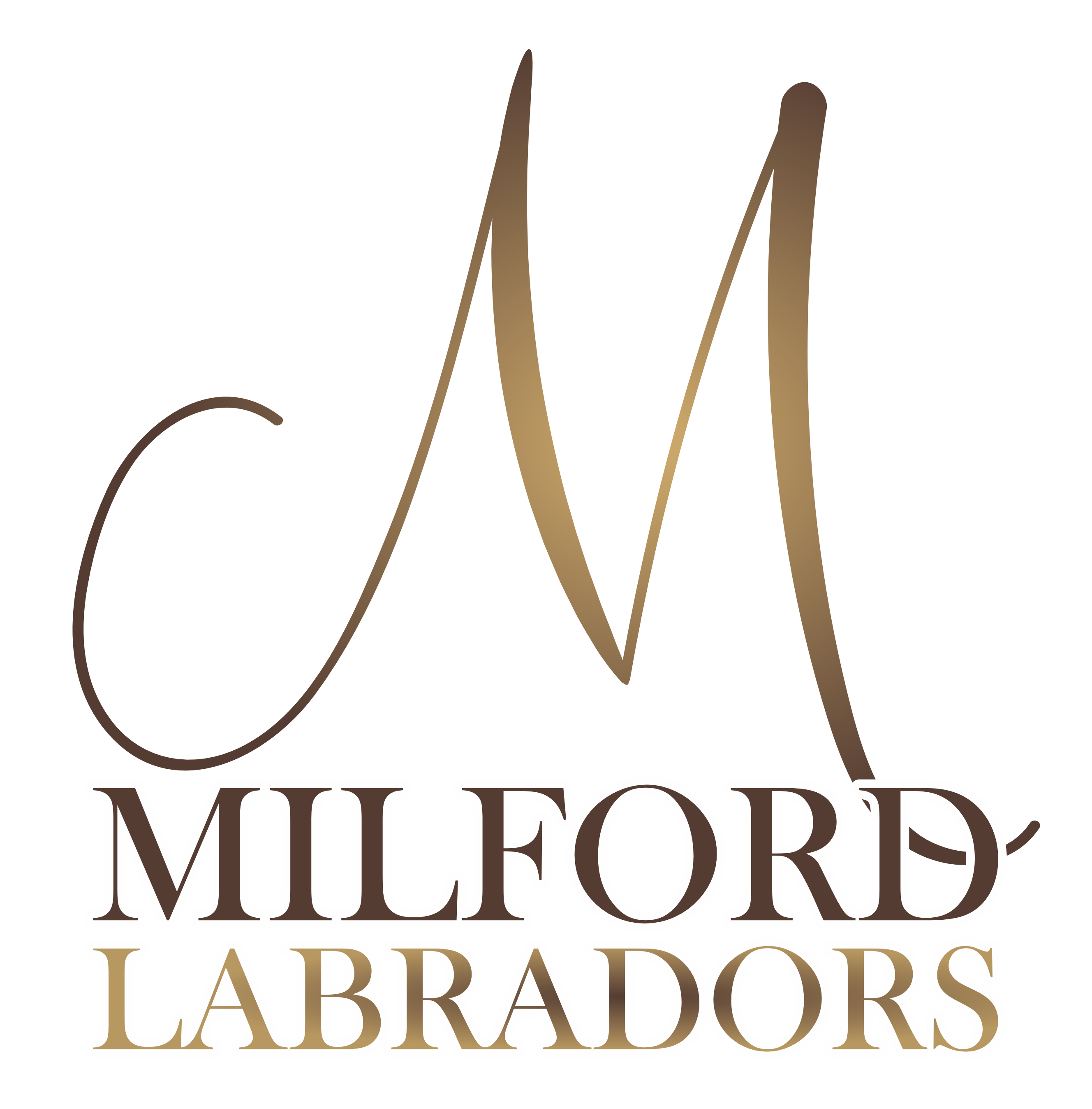 Milford Labradors