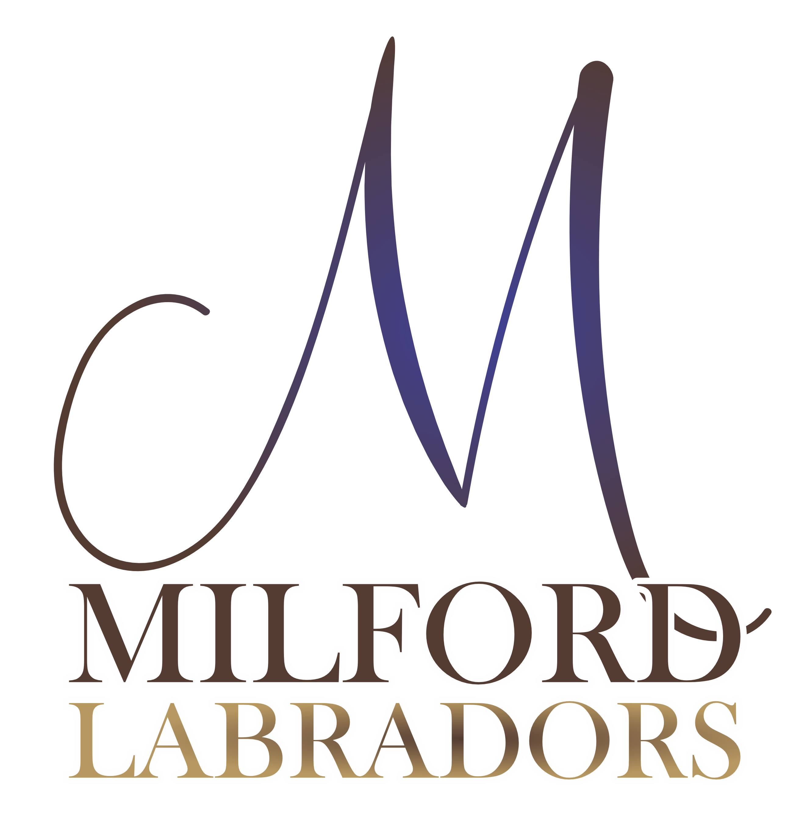 Milford Labradors